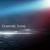 Ligar Music - Cinematic Drone